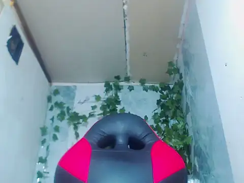 Negri hot crazy online show from 02.15.26