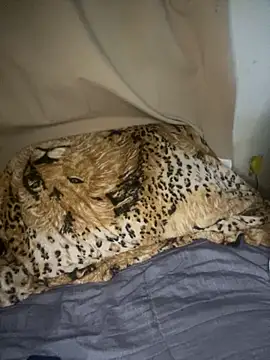 magneto01 online show from 04.05.26