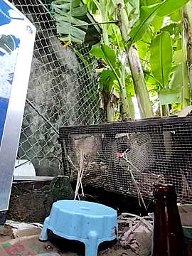 Billa2x online show from 07.26.26