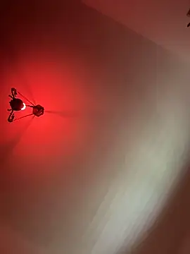 Snapshot of witchdub chatting on 02.19.26 witchdub online show from 02.19.26