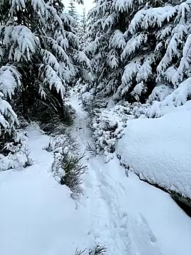 Snapshot of Marina_und_Jayden chatting on 02.18.26 Marina und Jayden online show from 02.18.26