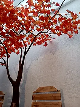 Dante Knox online show from 03.25.26