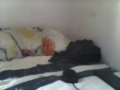 handsomeguy02 online show from 04.14.26