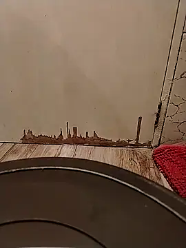 Snapshot of Gorditacarlota chatting on 02.01.26 Gorditacarlota online show from 02.01.26