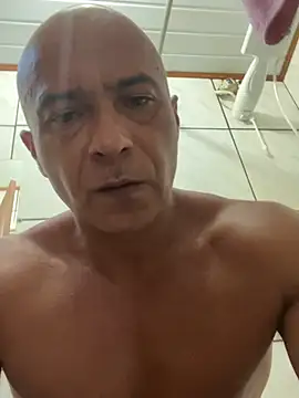 dogfrota online show from 03.05.26