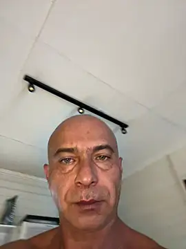 dogfrota online show from 03.08.26