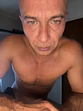 dogfrota online show from 03.10.26