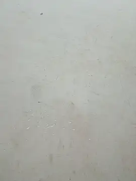 Snapshot of Lyly-68688 chatting on 04.15.26 Lyly-68688 online show from 04.15.26