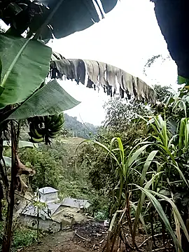 kaia-cam online show from 02.20.26