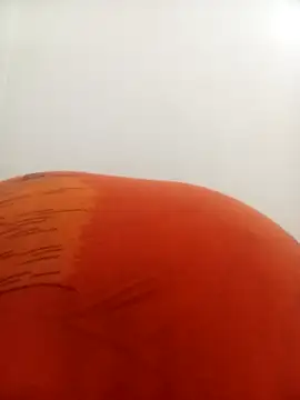 PatriciaVen online show from 02.09.26