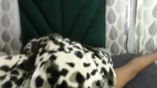 Snapshot of Nellybba chatting on 03.27.26 Nellybba online show from 03.27.26