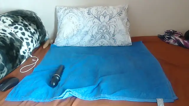 Snapshot of Nellybba chatting on 04.02.26 Nellybba online show from 04.02.26