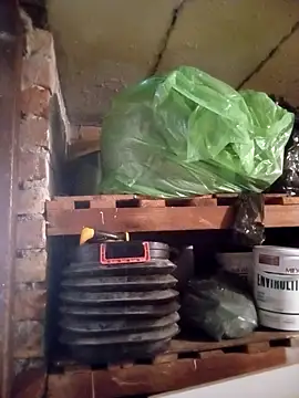 dicklife3485 online show from 04.01.26