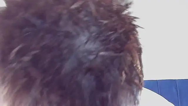 Snapshot of DrakeCarter chatting on 02.26.26 DrakeCarter online show from 02.26.26