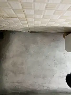 nmducnb online show from 04.19.26