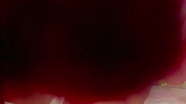 sweet  luna   online show from 02.21.26