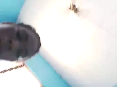 bigassx468 online show from 03.05.26