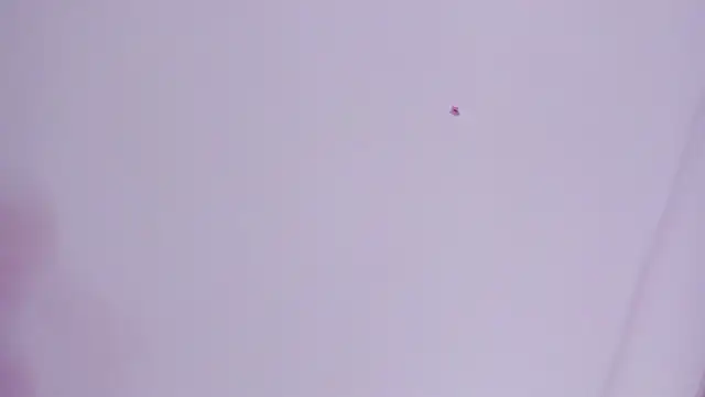 lovely  kiss   online show from 03.26.26