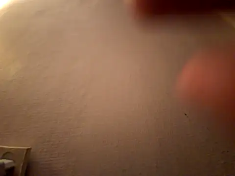 Snapshot of DanekBear chatting on 04.14.26 DanekBear online show from 04.14.26