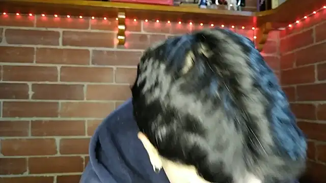 Snapshot of PaulDamico chatting on 02.02.26 PaulDamico online show from 02.02.26