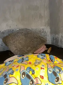 Iam AlexandraRey online show from 02.15.26