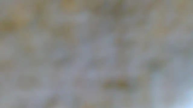 Snapshot of EVAN_TAY chatting on 02.07.26 EVAN TAY online show from 02.07.26