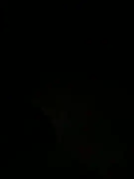 Snapshot of tyd247 chatting on 03.28.26 tyd247 online show from 03.28.26