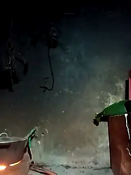 Hoa-tuylip online show from 03.04.26