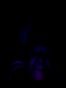 Snapshot of 061190 chatting on 02.28.26 061190 online show from 02.28.26