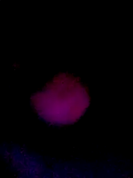 Snapshot of 061190 chatting on 03.22.26 061190 online show from 03.22.26