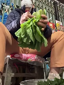 YANINA120 online show from 02.03.26