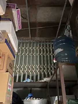 YANINA120 online show from 03.01.26