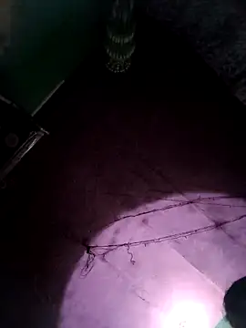 Snapshot of bhavna_pandit chatting on 02.17.26 bhavna pandit online show from 02.17.26