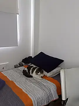 Nikolth 4 online show from 02.04.26