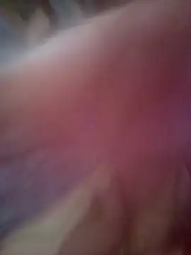 Alka sexy56 online show from 03.20.26