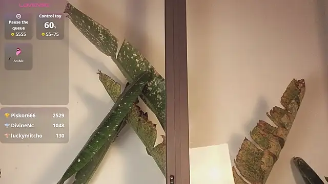 Snapshot of came-a-lot chatting on 02.22.26 came-a-lot online show from 02.22.26