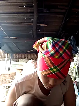 Beeio diaeo online show from 03.11.26