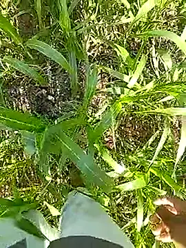 Cute Boy 4 online show from 04.13.26