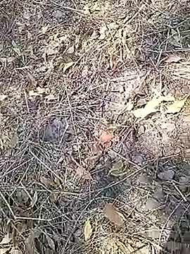 Cute Boy 4 online show from 04.16.26