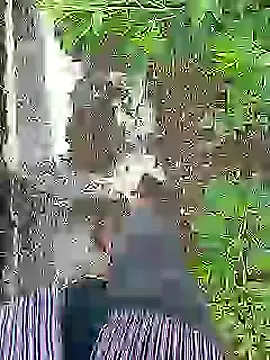 Cute Boy 4 online show from 07.16.26