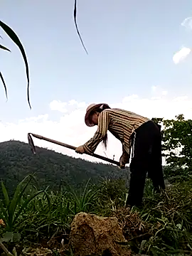 Tina-beo online show from 04.10.26