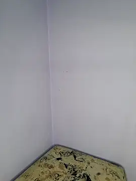 LollaHeart online show from 02.10.26