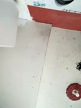 cynliu online show from 04.14.26