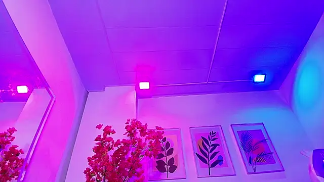 Maddie T18 online show from 02.04.26