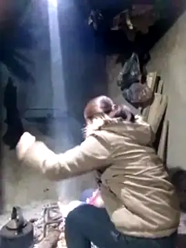 maimai1100 online show from 02.03.26