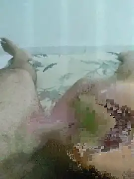 Snapshot of putopau15 chatting on 03.24.26 putopau15 online show from 03.24.26