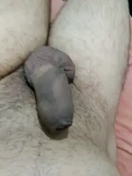 Snapshot of putopau15 chatting on 04.02.26 putopau15 online show from 04.02.26