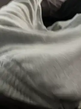 bugballs1 online show from 02.20.26