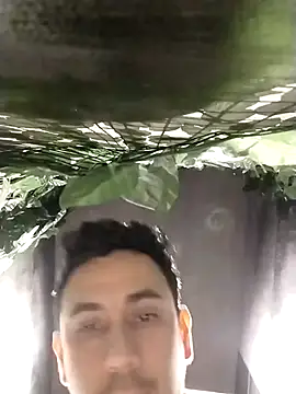 rejypool online show from 04.17.26