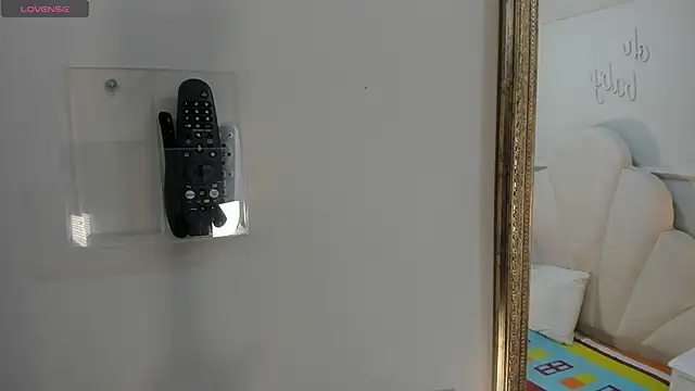 Snapshot of Haileysans chatting on 02.11.26 Haileysans online show from 02.11.26